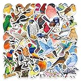 【100 Pcs Stickers】Contain: 2 * 50pcs different stickers. You will get 100 pieces stickers in 50 designs. 【High quality material】Our Stickers are made of superior PVC which is waterproof and sun-proof. 【Suitable size】 Size: 4-6.5cm/1.5-2.5 inch. You c...