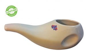 Sattvic Path Ergonomically